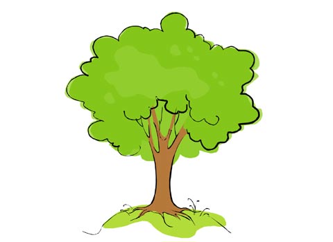 Cartoon Pictures Of A Tree | Free Download Clip Art | Free Clip ...
