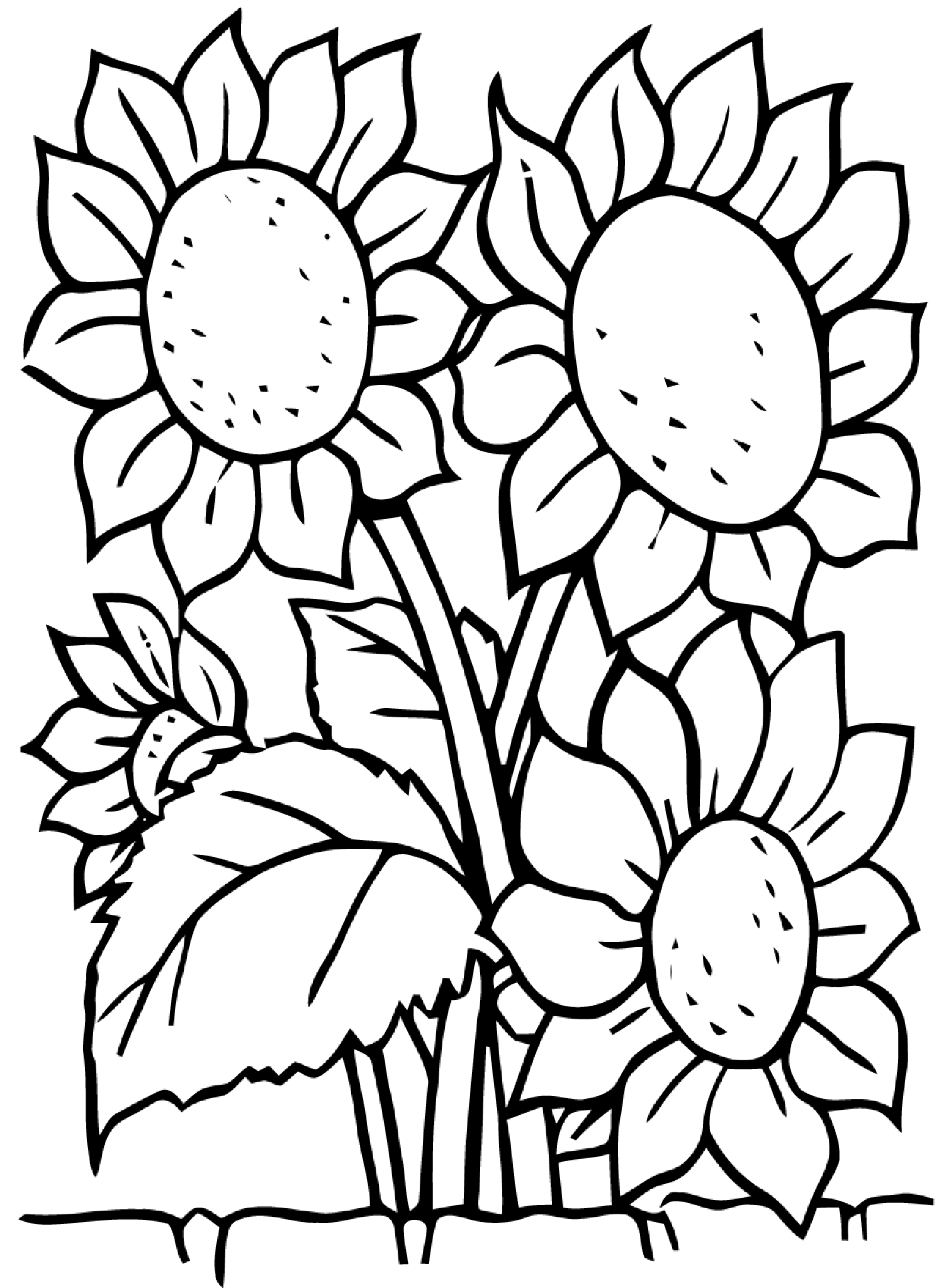 Flowers Coloring pages for kids to print & color : coloring-sunflowers