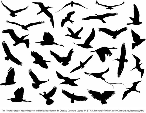 Free vector flying birds silhouette Free vector in Adobe ...