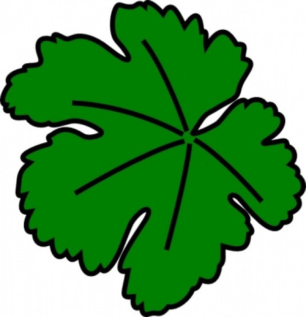 Vine-leaf clip art | Download free Vector