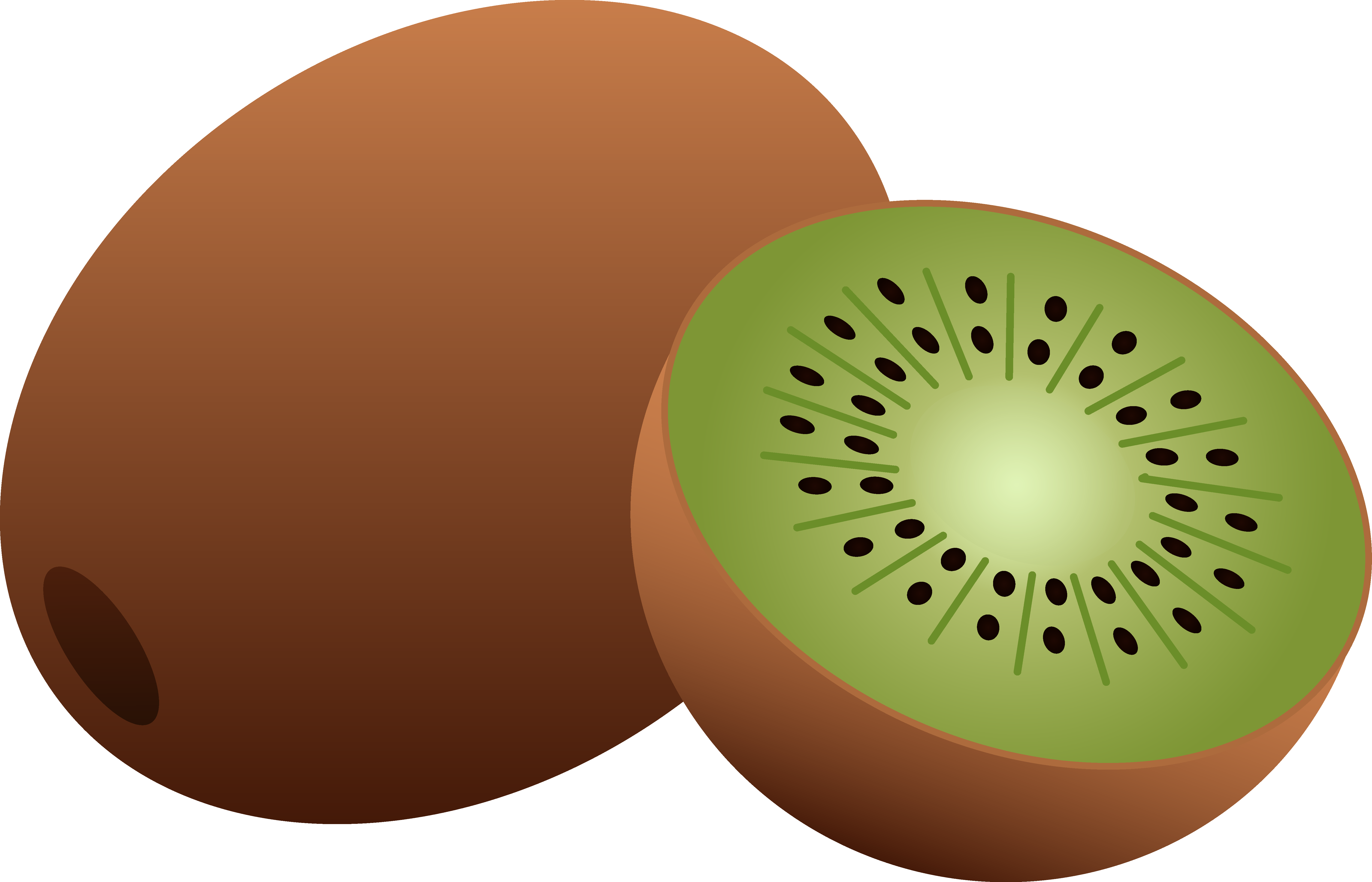 Kiwi Clipart | Free Download Clip Art | Free Clip Art | on Clipart ...