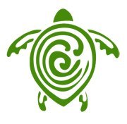 Learn What Is The Turtle Symbol Meaning On AllTurtles