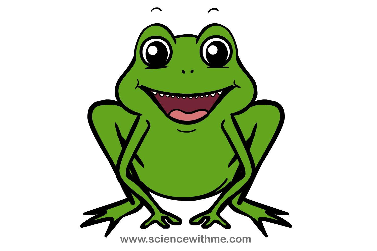 Animated Frog Wallpaper