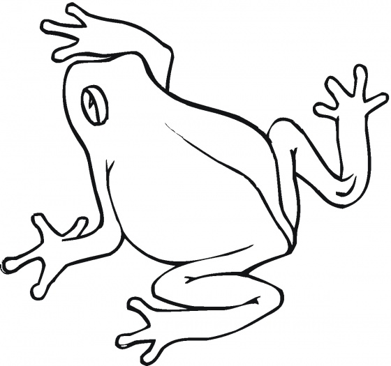 Frog On Lily Pad Coloring Page - Free Clipart Images