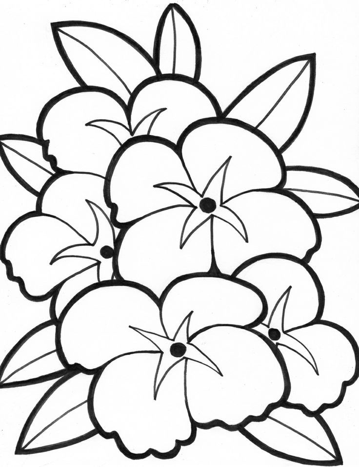 simple-flower-coloring-pages-clipart-best