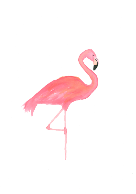 1000+ images about Flamingos | Flamingo art, Original ...