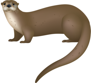 River otter clipart