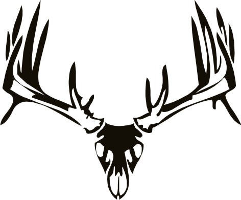 Buck Skull Drawing - ClipArt Best