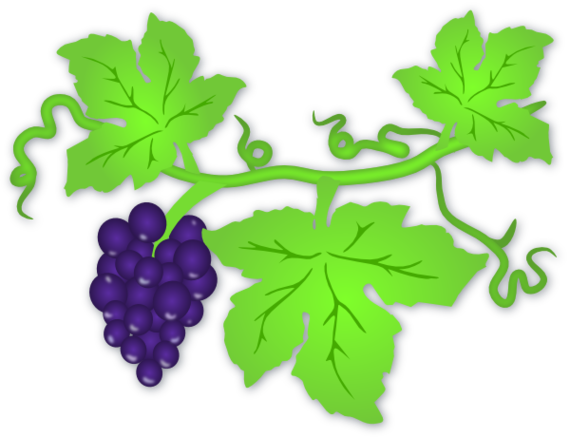 Grapevine Vector Image Free Graphics Art Designs Clipart - Free to ...