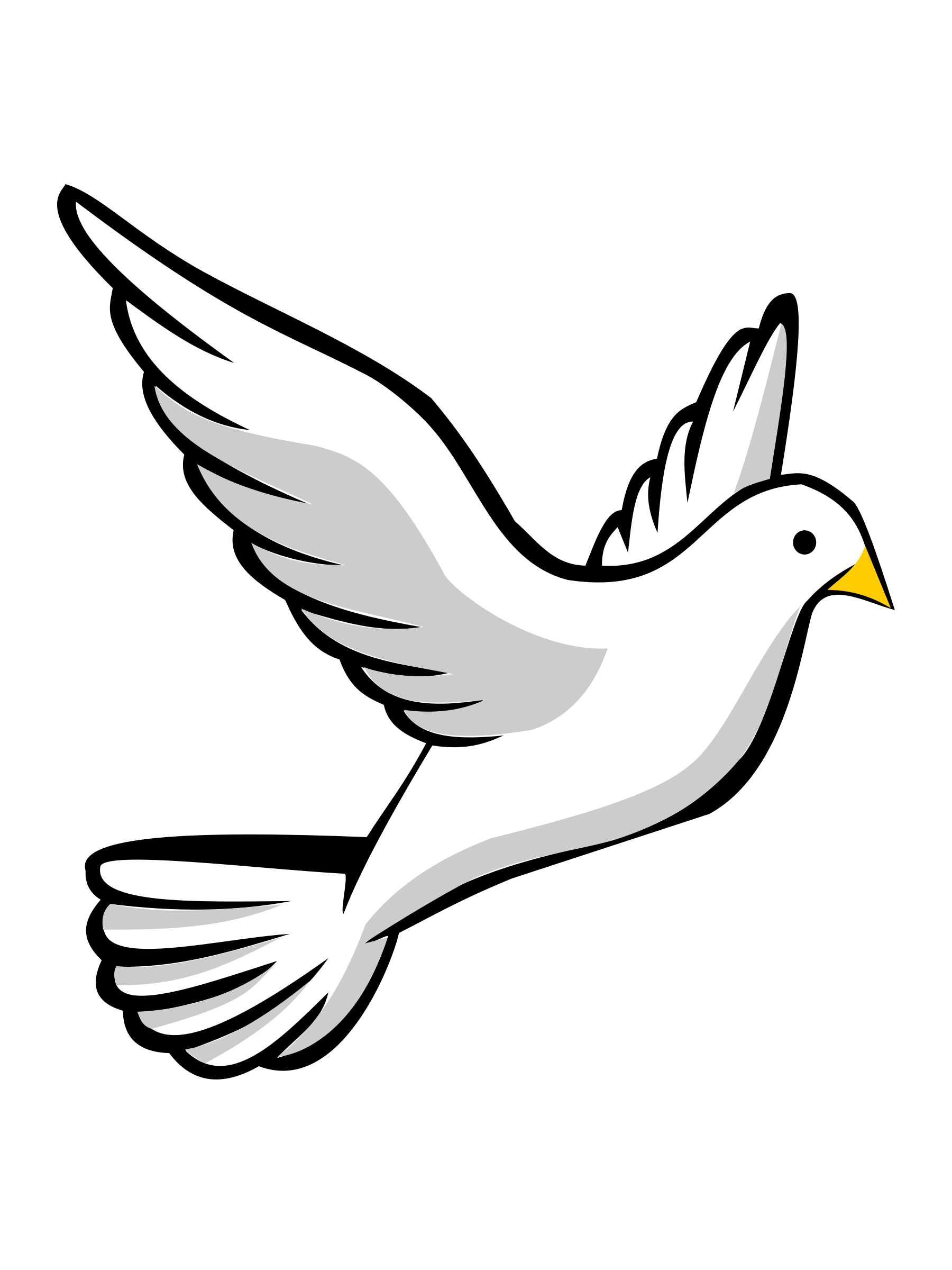 Bird | Dove Flying Drawing | Animal Picture