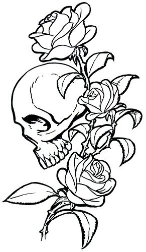 T Drawing/rose - ClipArt Best