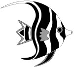 angelfish-1th.jpg