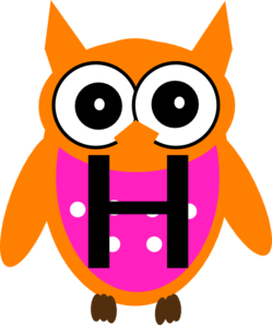 orange-owl-h-md.png