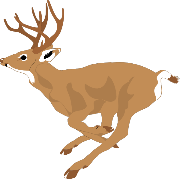 Cartoon Deer Gif - Quoteko.