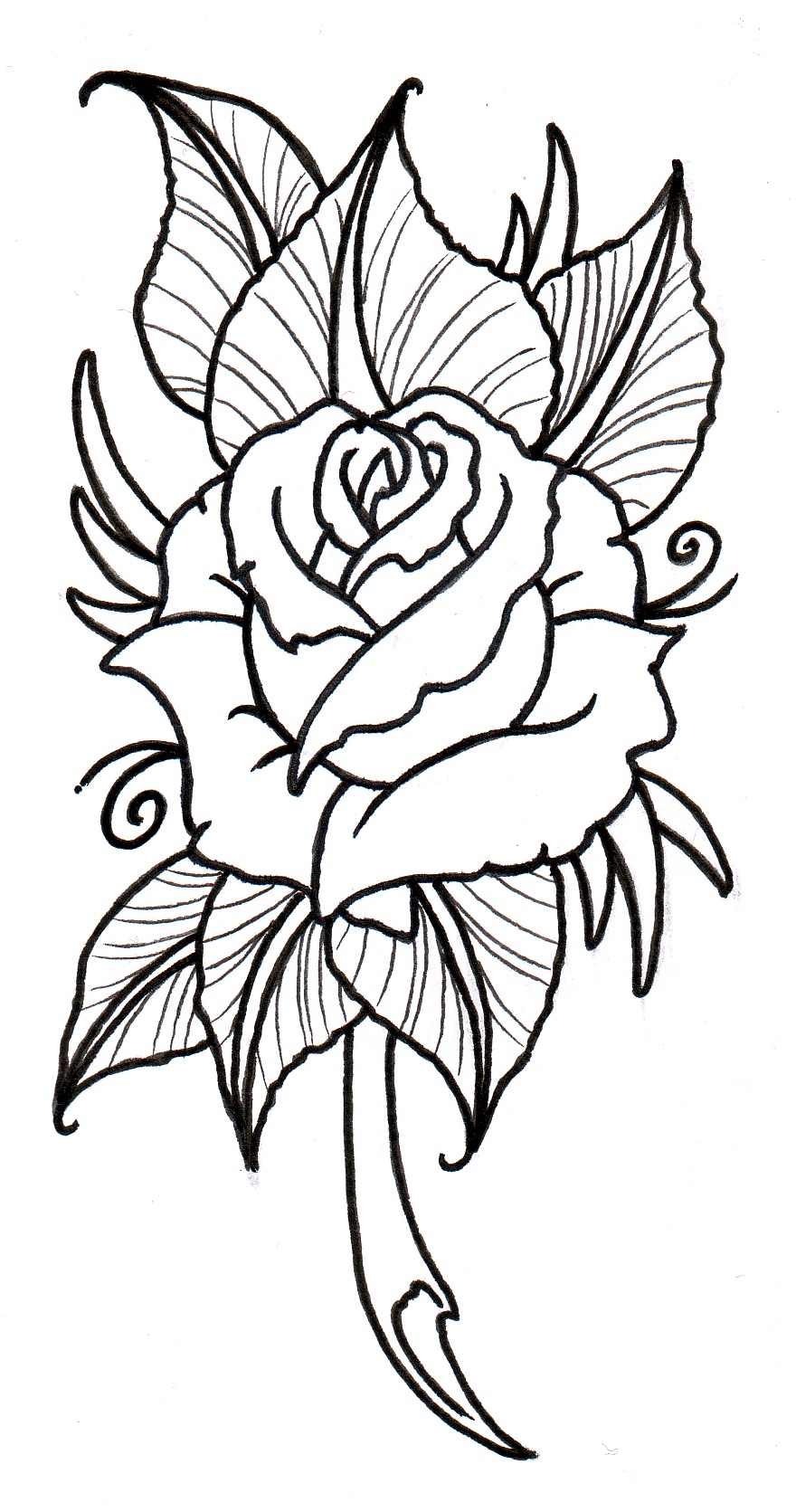 Rose Outline | Free Download Clip Art | Free Clip Art | on Clipart ...