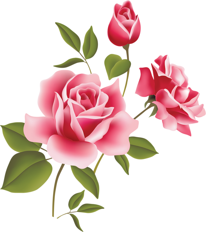 Clipart of pink roses - ClipartFox