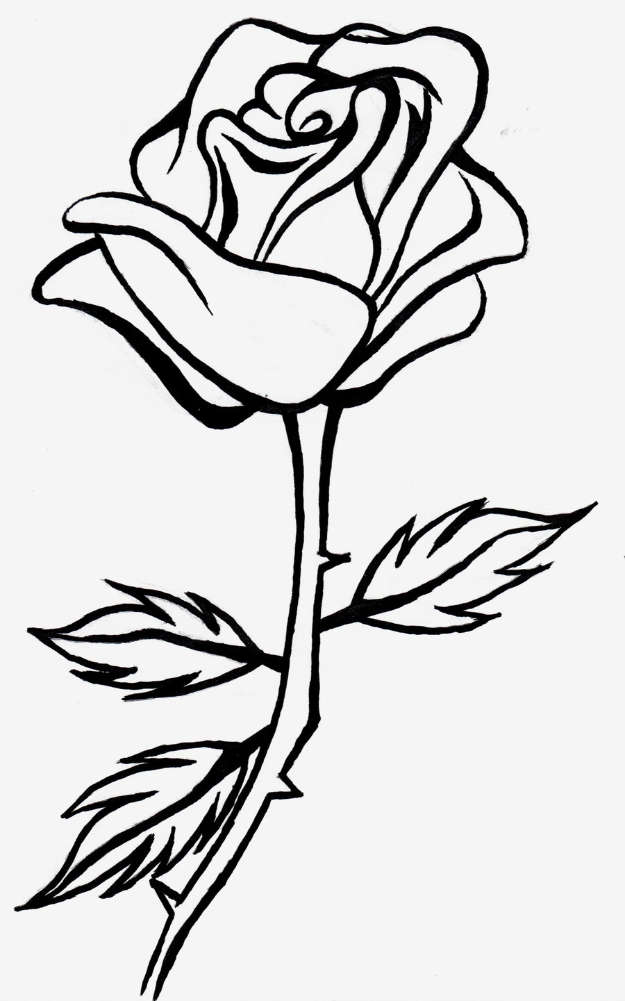 rose clip art outline – Clipart Free Download