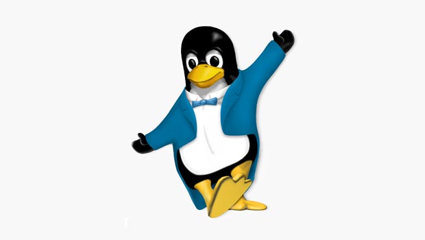 cool linux versions