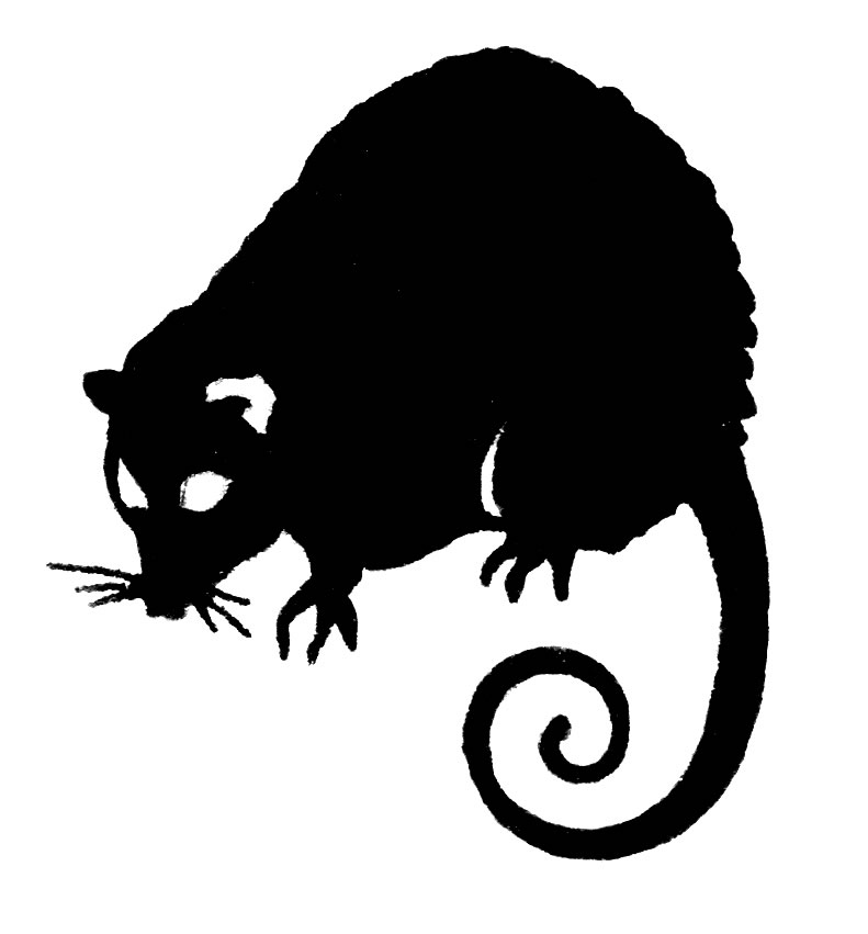 Possum Clipart - Free Clipart Images