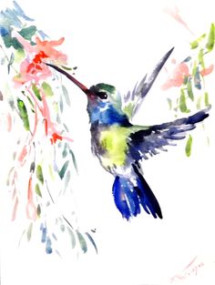 Hummingbirds to Paint | Hummingbirds, Watercolor Paintin…