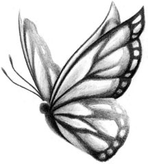 Butterfly sketch. So pretty. Love it. | Tattoos | Pinterest