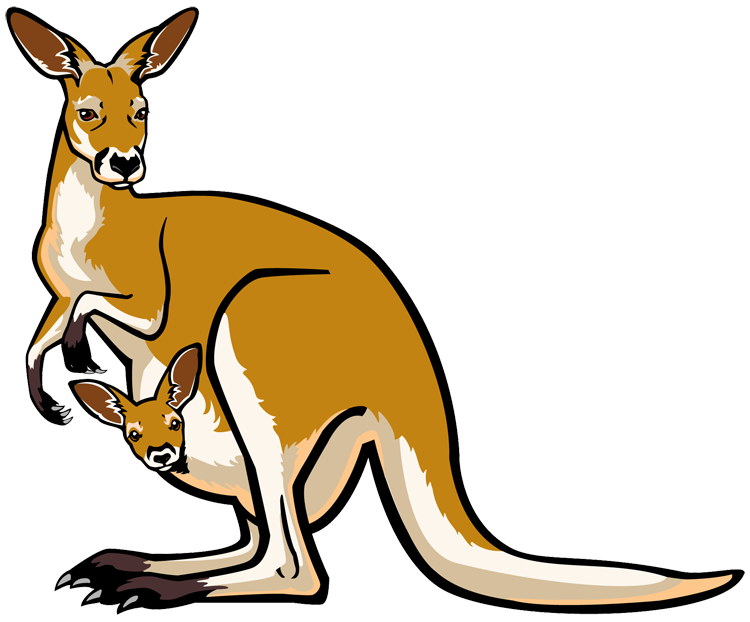 Joey Kangaroo Clipart - Free Clipart Images