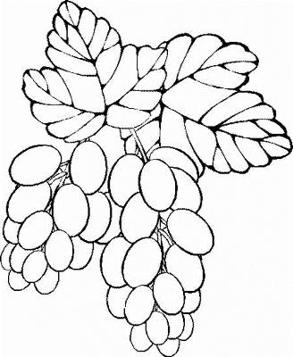 drawings of grapes Colouring Pages (page 3)