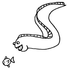 eel clipart - Free Clipart Images