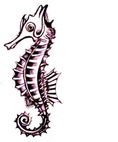 Seahorse Sketch - ClipArt Best