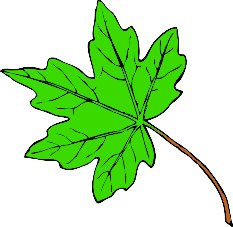 Free maple-leaf Clipart - Free Clipart Graphics, Images and Photos ...