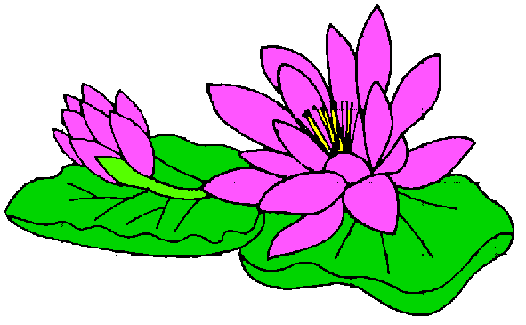 Clip art clip art water lily image #26864