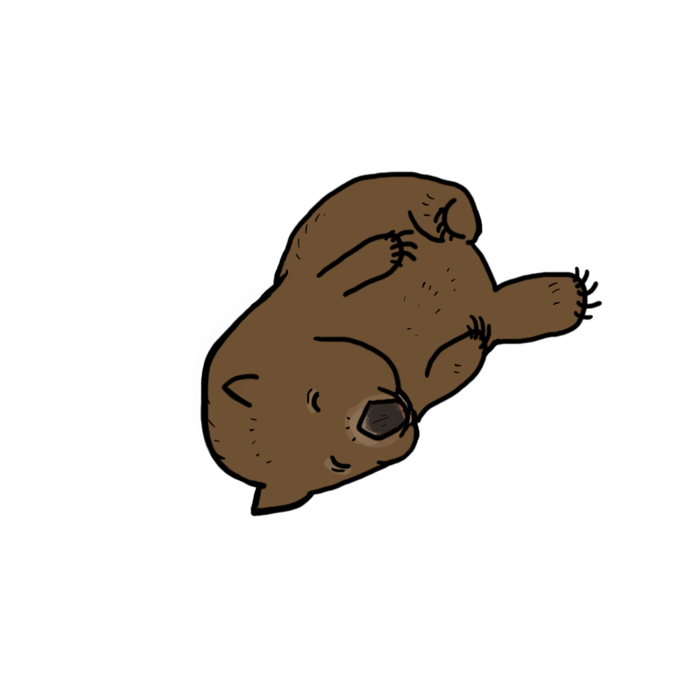 Wombat Clipart