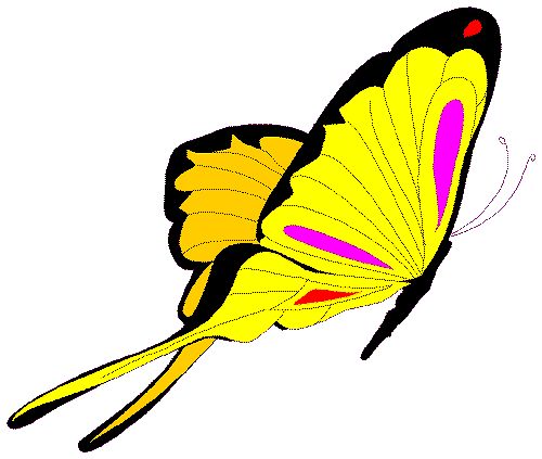 Free butterfly clipart flying