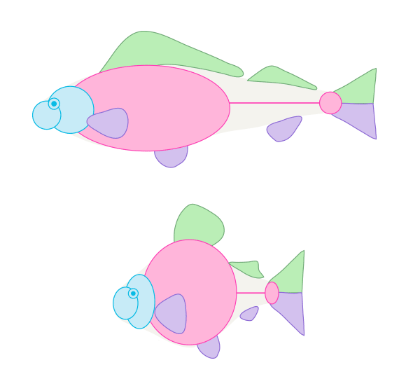 How to Draw Animals: Fish and Sharks