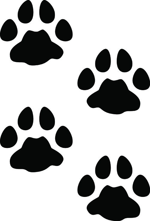 Coonhound wildcat hunting decal