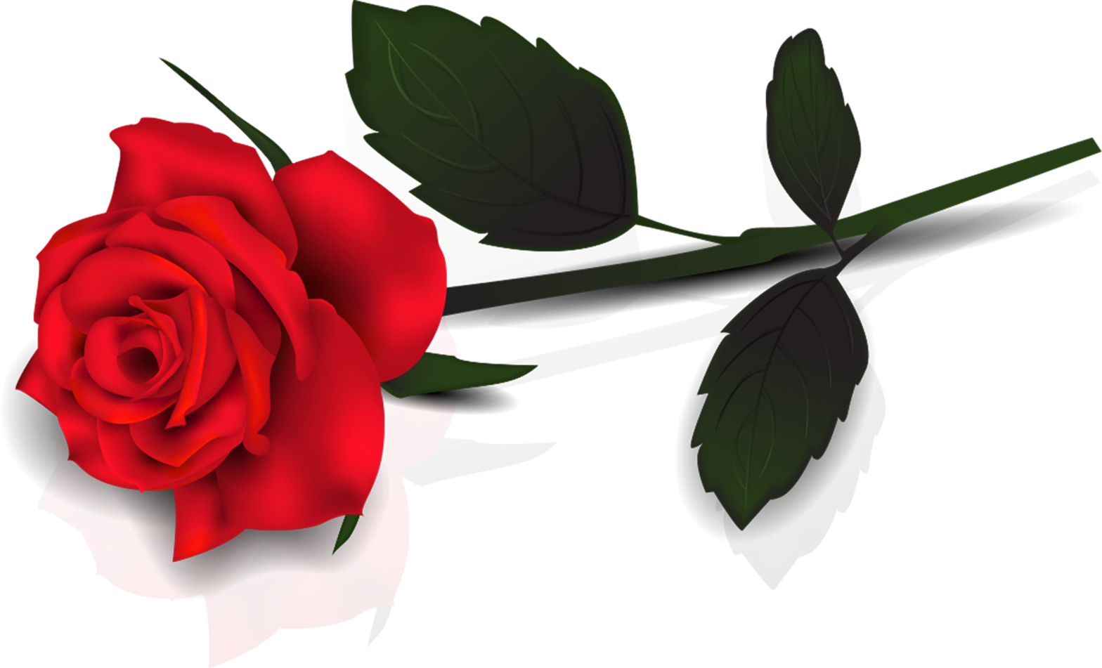 Single Red Rose Png Clipart - Free to use Clip Art Resource