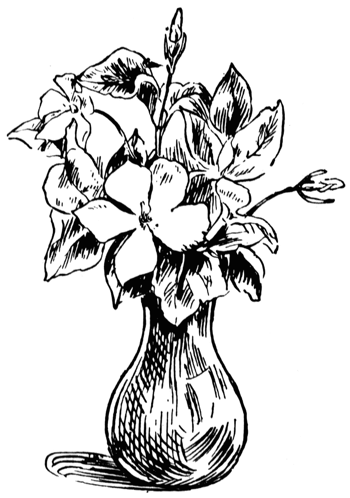 Flower Drawings Clip Art