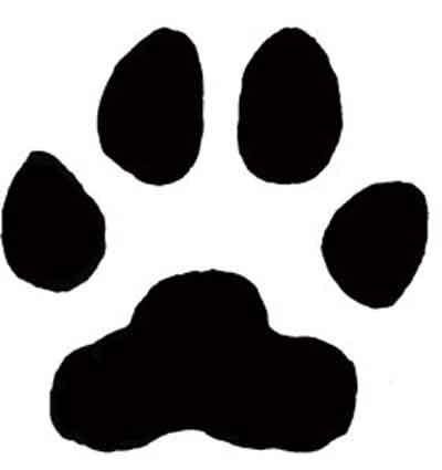 Large Print Of Lion Paw - ClipArt Best