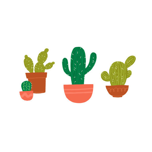 Cactus drawing by a sky full of stars | WHI