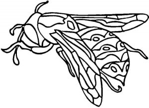 Yellow Jacket Wasp For Coloring Pages - Animal - Download For Free ...