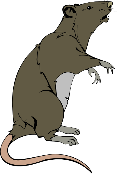 Rat Clip Art - Tumundografico