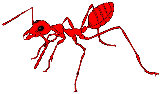 Free ant animated ants clipart