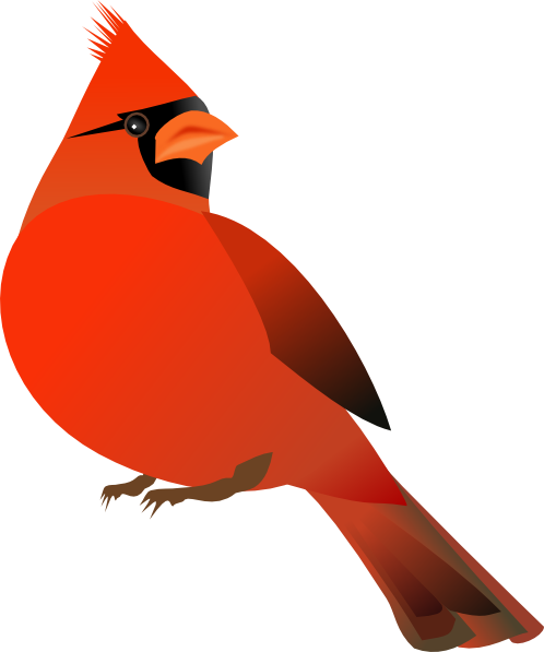 Cute cardinal clipart