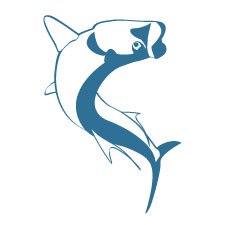 Tarpon Vector 'C' Turn | Marine Wildlife Fine Art, Custom Design ...