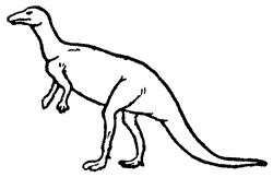 Dinosaur Coloring Pages