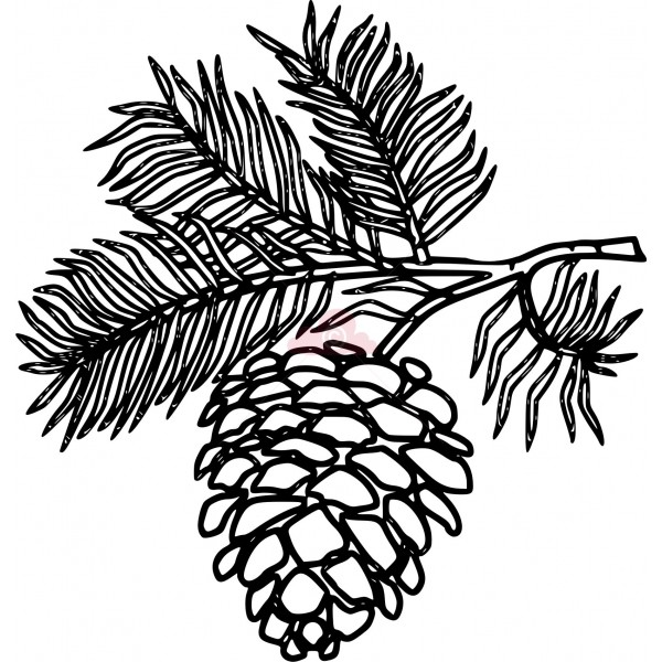 1000+ images about pinecones
