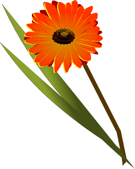 Gerbera Clip Art - vector clip art online, royalty ...