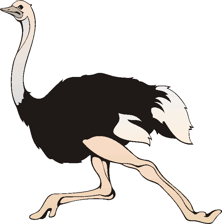 Ostrich Clip Art Free - Free Clipart Images