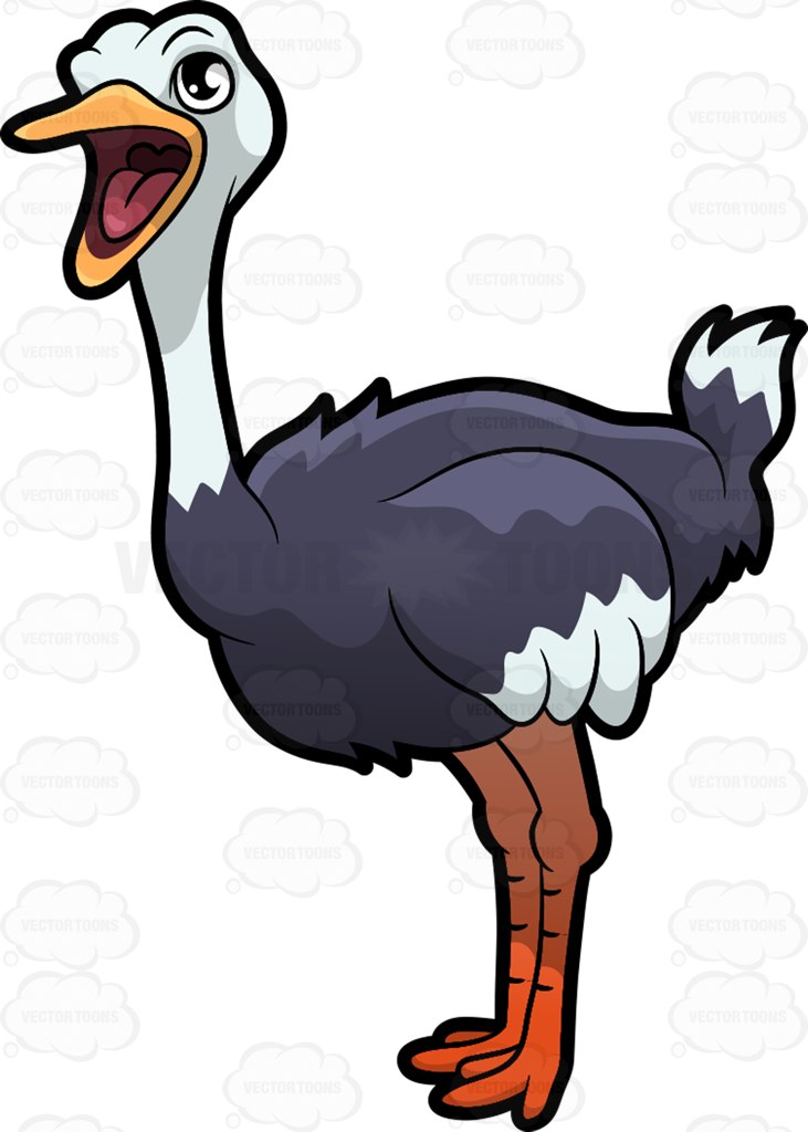 Cartoon Ostrich - ClipArt Best