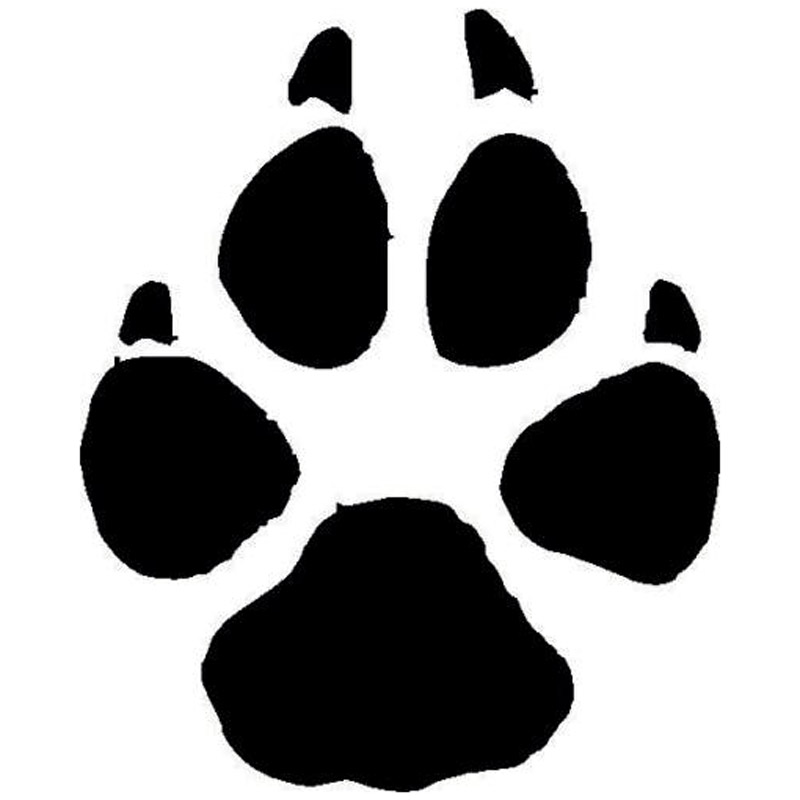 Compare Prices on Cat Paw Print- Online Shopping/Buy Low Price Cat ...